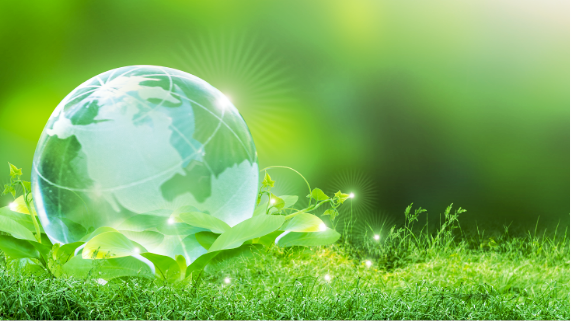 Basic Approach to Sustainability