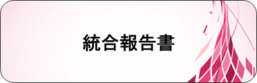 統合報告書