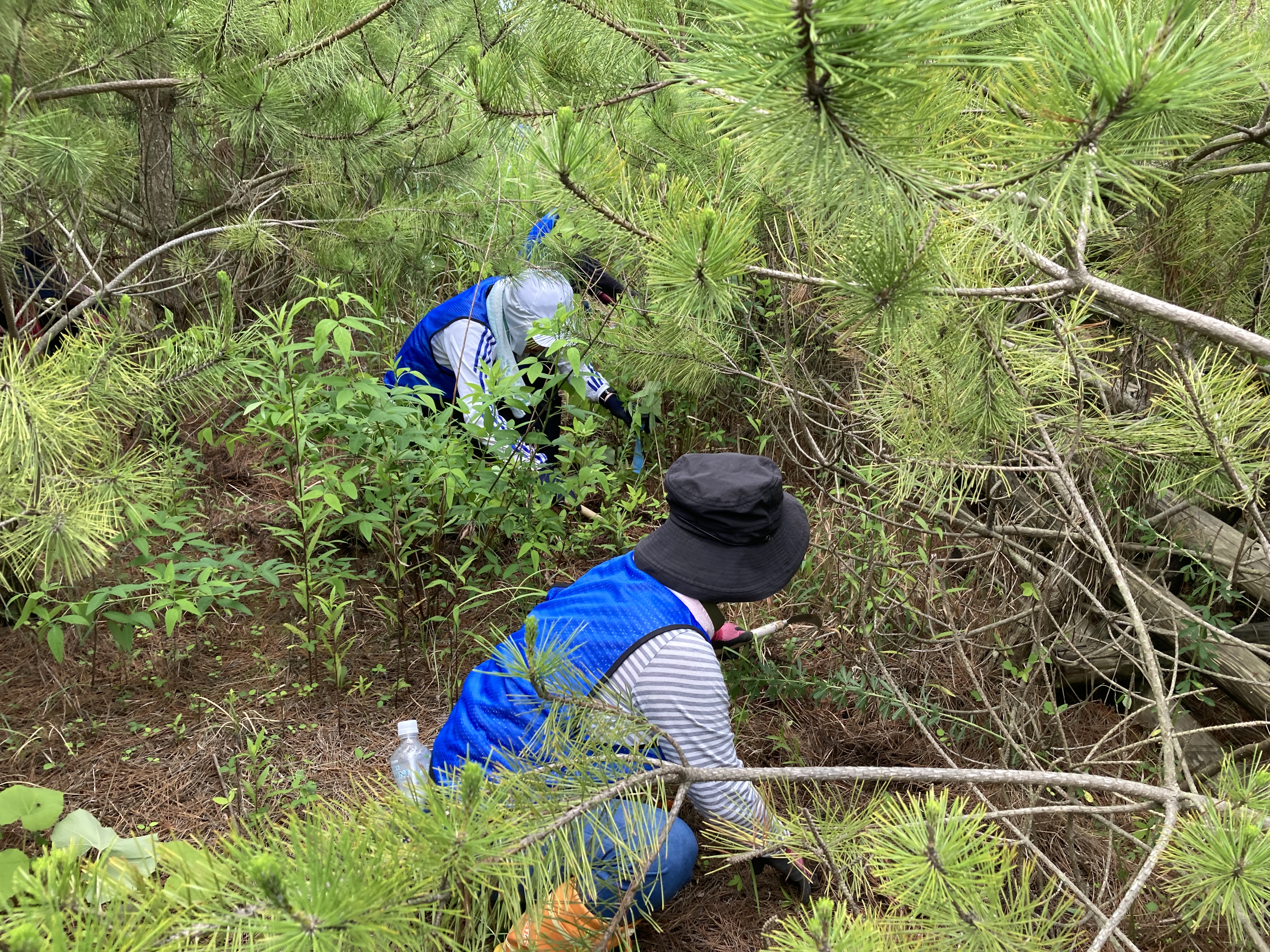 オイスカ海岸林再生プロジェクト（宮城県名取市）